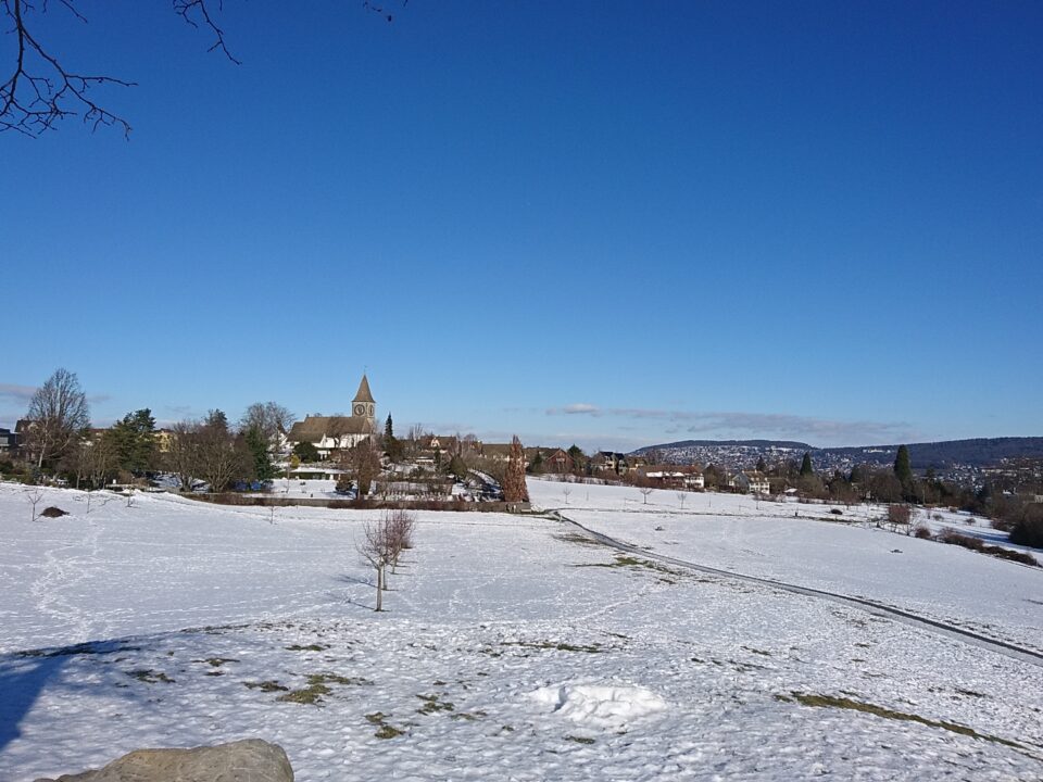 Winterlandschaft bei Rüschlikon